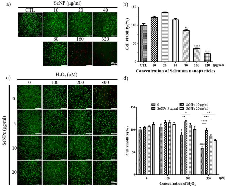 https://cdn.ncbi.nlm.nih.gov/pmc/blobs/65ce/7926403/6dd896f00747/nanomaterials-11-00557-g003.jpg