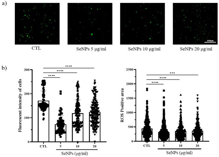 https://cdn.ncbi.nlm.nih.gov/pmc/blobs/65ce/7926403/a06549a6f84d/nanomaterials-11-00557-g004.jpg