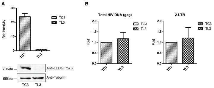 https://cdn.ncbi.nlm.nih.gov/pmc/blobs/65cf/5618025/c223b8a2136a/viruses-09-00259-g001.jpg