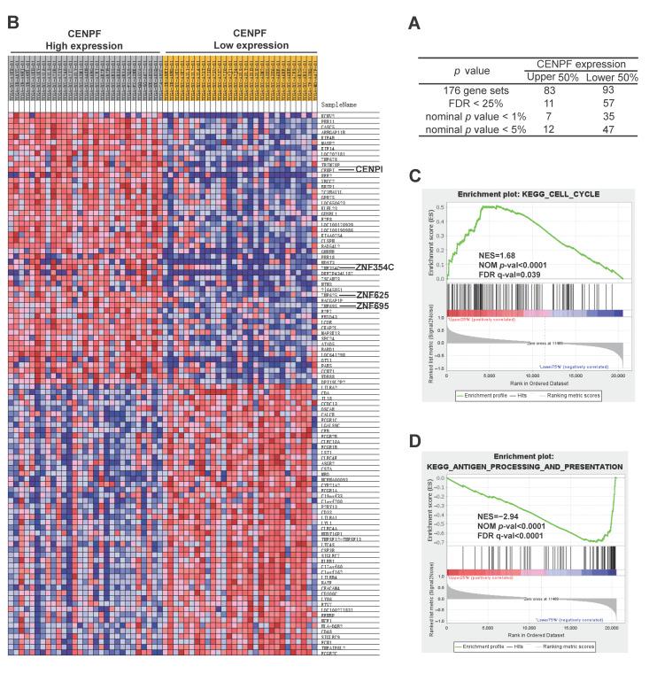 https://cdn.ncbi.nlm.nih.gov/pmc/blobs/65d1/10139200/922887e05dea/ijms-24-07010-g006.jpg
