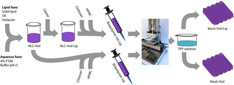 https://cdn.ncbi.nlm.nih.gov/pmc/blobs/65d1/9301079/da1f53c2a5f5/fchem-10-914126-g001.jpg