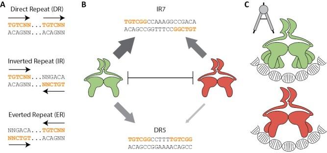 https://cdn.ncbi.nlm.nih.gov/pmc/blobs/65d2/10690724/5c822609f803/erad259_fig3.jpg