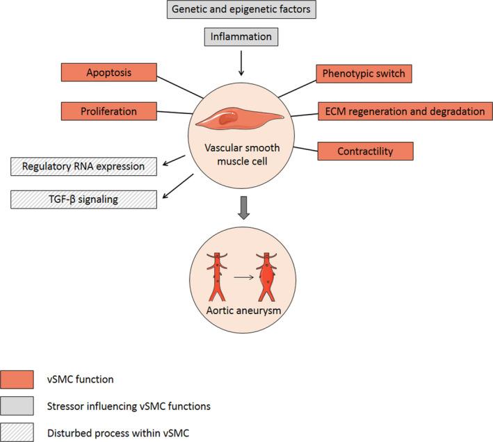 https://cdn.ncbi.nlm.nih.gov/pmc/blobs/65d4/9285394/7489f2f2c39e/ECI-52-0-g005.jpg