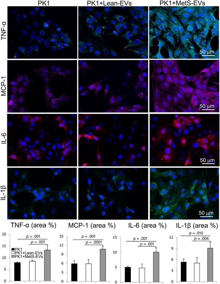 https://cdn.ncbi.nlm.nih.gov/pmc/blobs/65d5/6477000/410cae7ec092/SCT3-8-430-g006.jpg