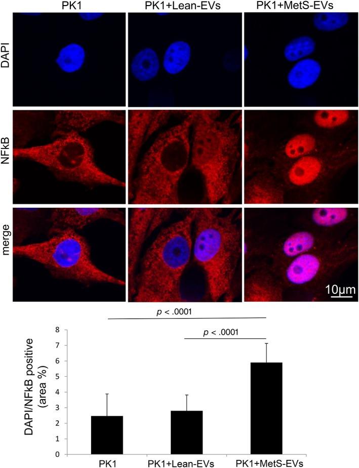 https://cdn.ncbi.nlm.nih.gov/pmc/blobs/65d5/6477000/7170cbf55705/SCT3-8-430-g005.jpg
