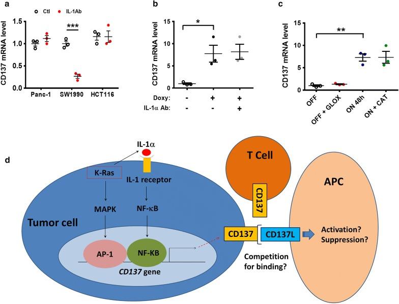 https://cdn.ncbi.nlm.nih.gov/pmc/blobs/65d5/6615207/0afb0d6312c1/40880_2019_386_Fig5_HTML.jpg