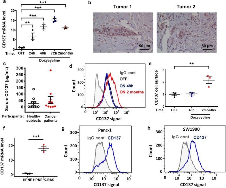 https://cdn.ncbi.nlm.nih.gov/pmc/blobs/65d5/6615207/eaaf3eb2b94c/40880_2019_386_Fig1_HTML.jpg