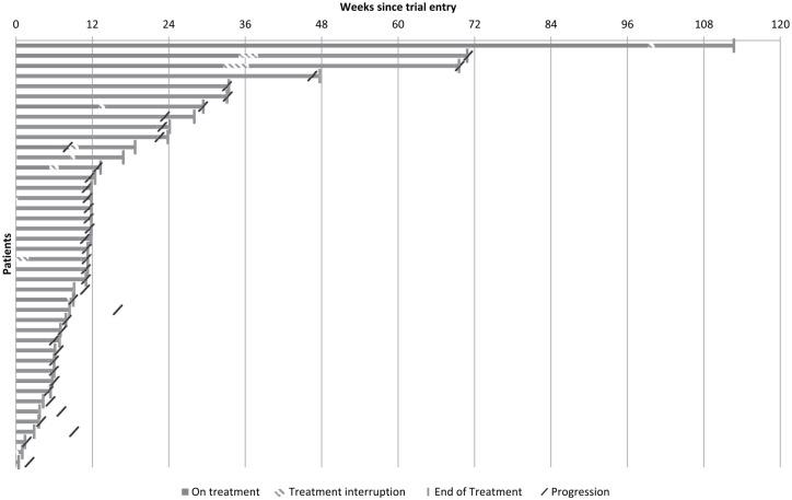 https://cdn.ncbi.nlm.nih.gov/pmc/blobs/65d5/8013695/2c04273714e2/10.1177_1758835920975352-fig5.jpg