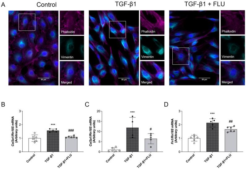 https://cdn.ncbi.nlm.nih.gov/pmc/blobs/65d7/11679586/2f541fc701e7/ijms-25-13327-g006.jpg