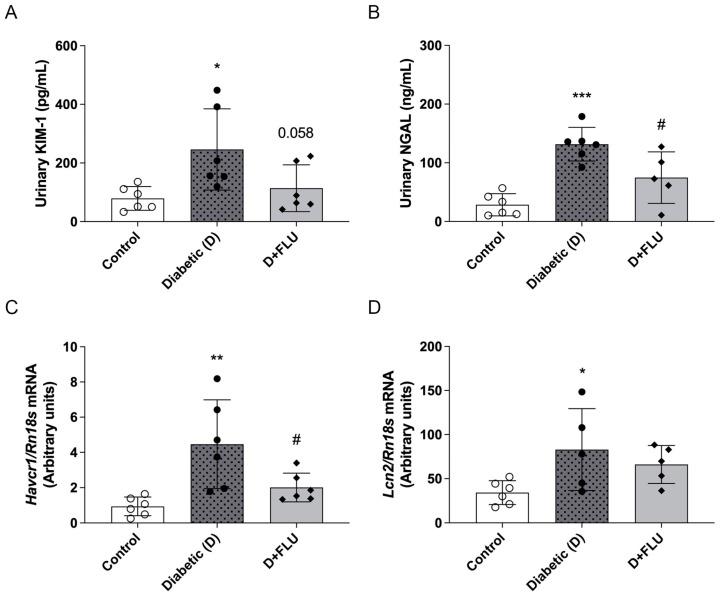 https://cdn.ncbi.nlm.nih.gov/pmc/blobs/65d7/11679586/5fa74c715b71/ijms-25-13327-g001.jpg