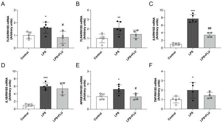 https://cdn.ncbi.nlm.nih.gov/pmc/blobs/65d7/11679586/74473120dfc6/ijms-25-13327-g004.jpg