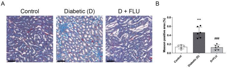 https://cdn.ncbi.nlm.nih.gov/pmc/blobs/65d7/11679586/fb361fa06241/ijms-25-13327-g003.jpg