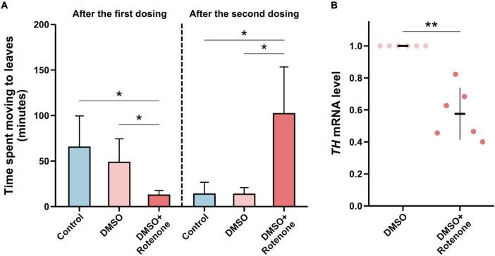 https://cdn.ncbi.nlm.nih.gov/pmc/blobs/65d8/11066238/316e6a45120c/fnmol-17-1359294-g010.jpg