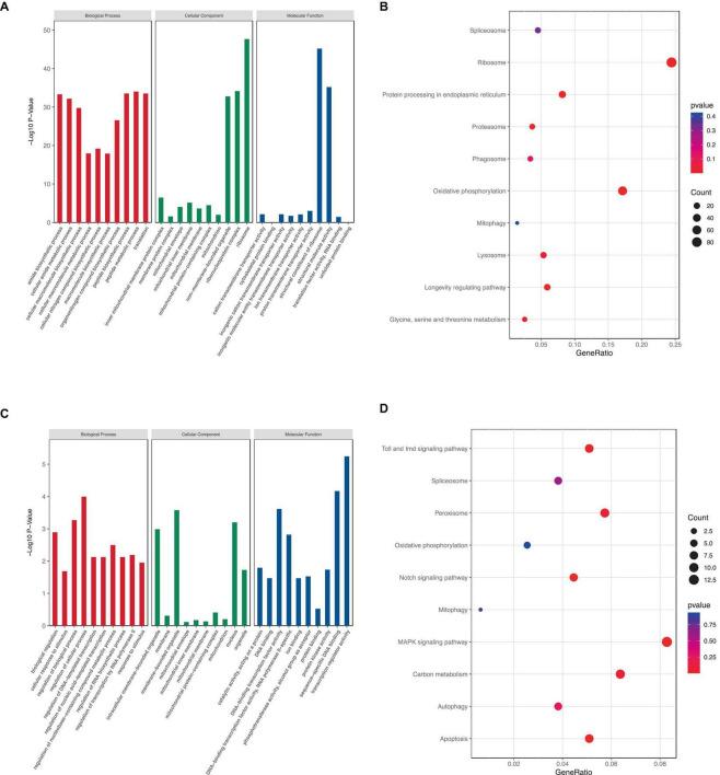 https://cdn.ncbi.nlm.nih.gov/pmc/blobs/65d8/11066238/713e97136c51/fnmol-17-1359294-g007.jpg