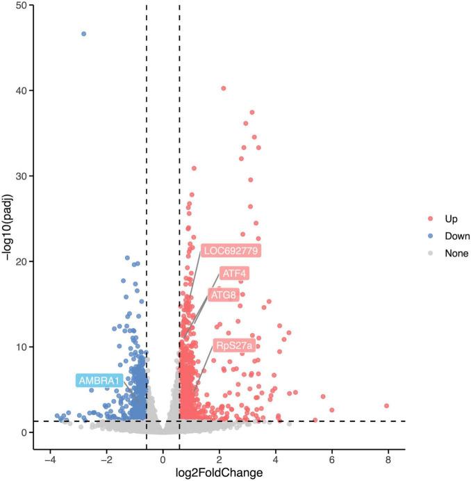 https://cdn.ncbi.nlm.nih.gov/pmc/blobs/65d8/11066238/98e1b95b6b2f/fnmol-17-1359294-g006.jpg