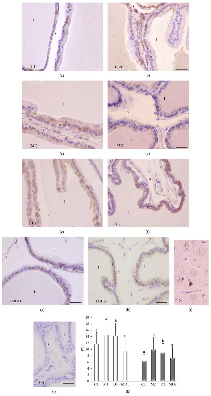 https://cdn.ncbi.nlm.nih.gov/pmc/blobs/65d8/4534615/205cee867051/JDR2015-538529.005.jpg