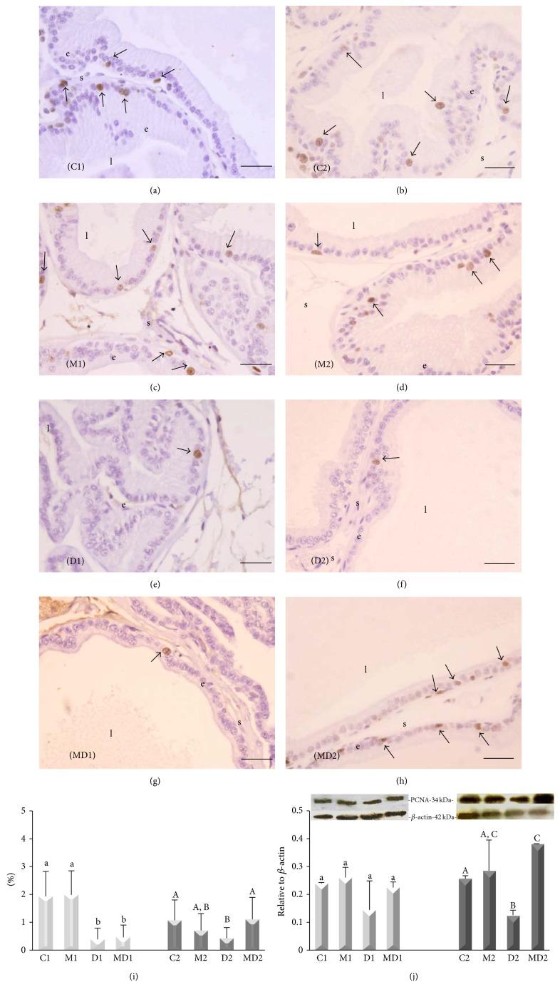 https://cdn.ncbi.nlm.nih.gov/pmc/blobs/65d8/4534615/62e0b40f5c06/JDR2015-538529.003.jpg