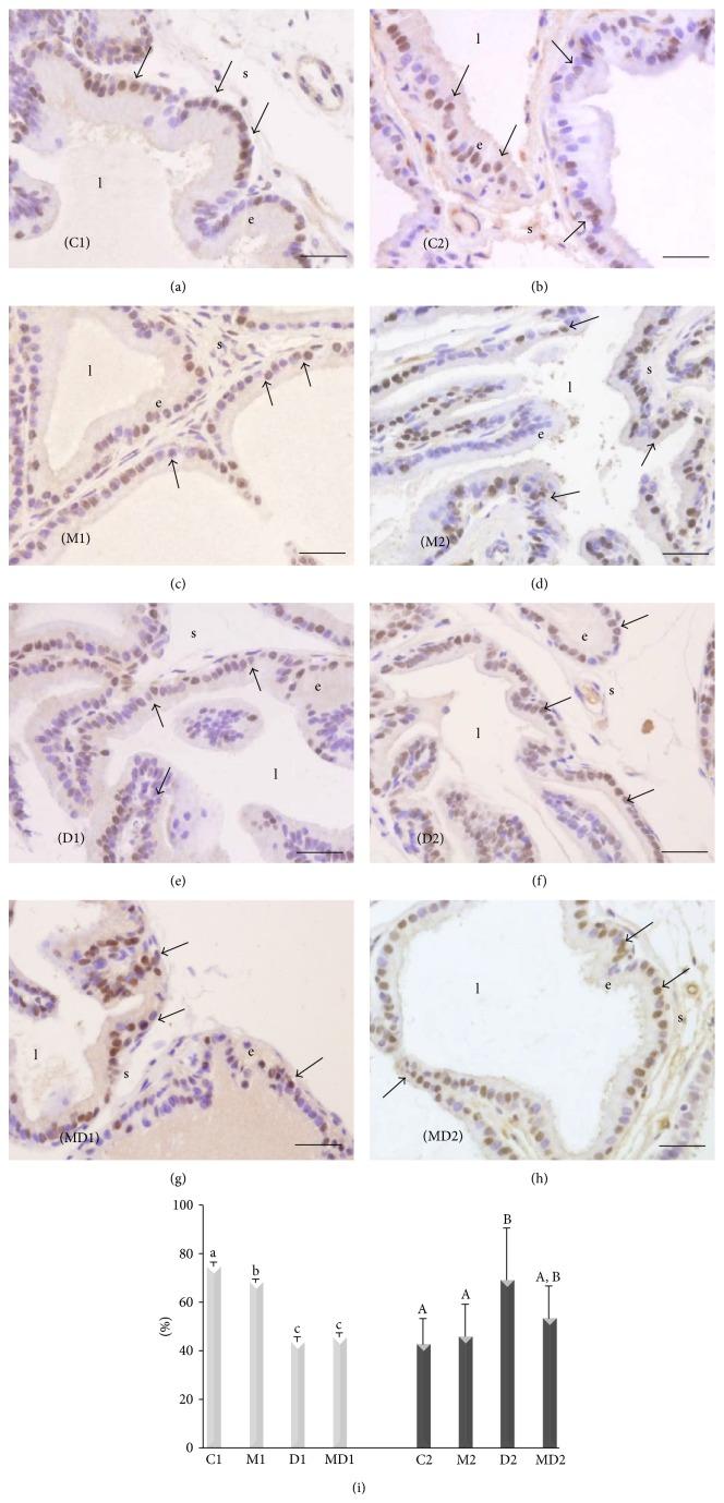 https://cdn.ncbi.nlm.nih.gov/pmc/blobs/65d8/4534615/82e467fc91a8/JDR2015-538529.002.jpg
