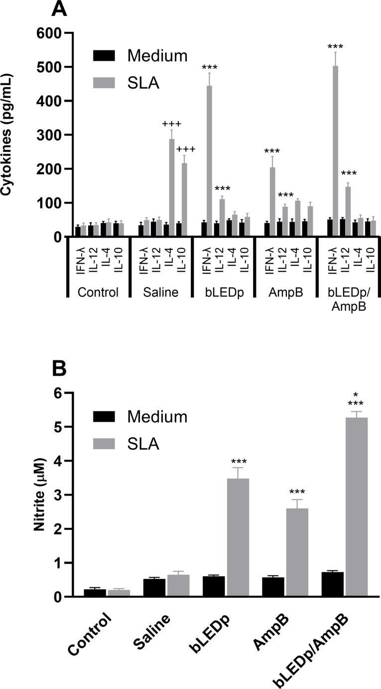 https://cdn.ncbi.nlm.nih.gov/pmc/blobs/65d9/12086167/a5741e0db849/fimmu-16-1554051-g002.jpg