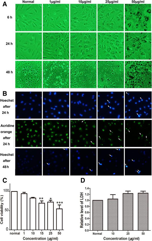https://cdn.ncbi.nlm.nih.gov/pmc/blobs/65d9/4177720/61238546e1ed/1556-276X-9-461-3.jpg