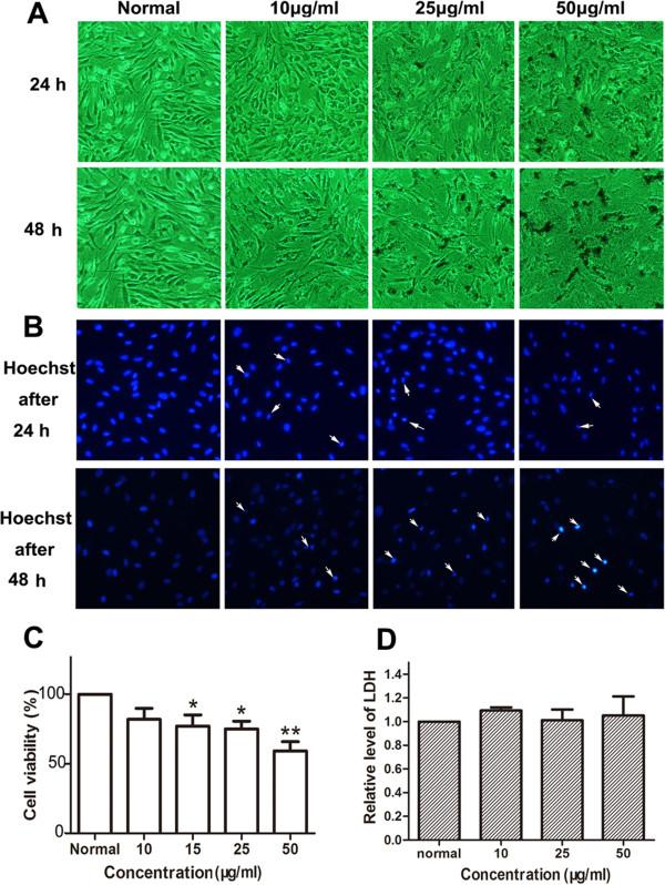 https://cdn.ncbi.nlm.nih.gov/pmc/blobs/65d9/4177720/be916b6bb854/1556-276X-9-461-5.jpg