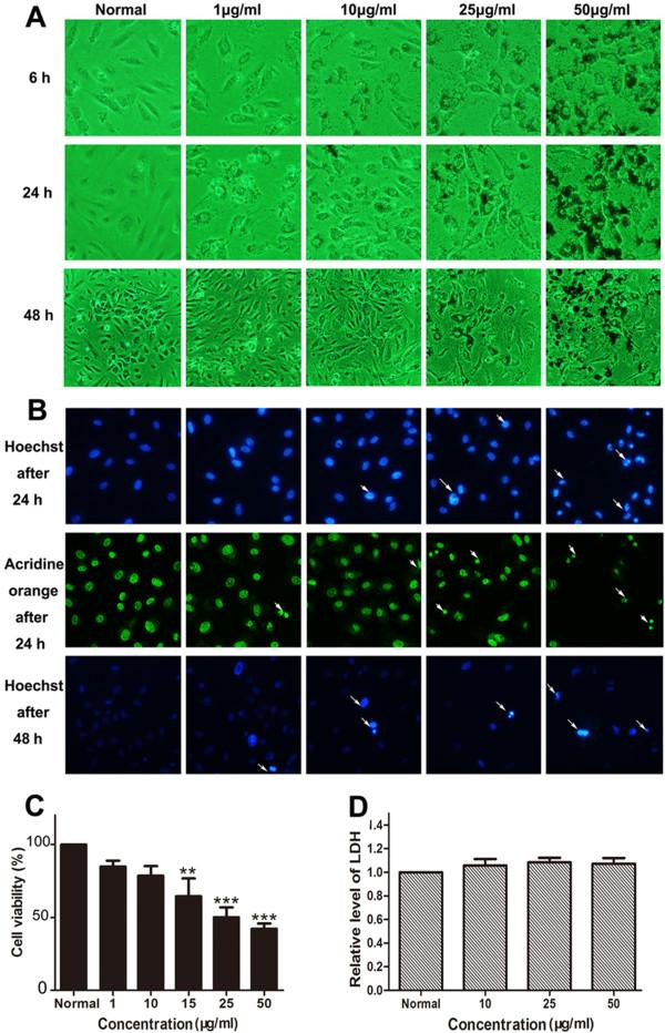 https://cdn.ncbi.nlm.nih.gov/pmc/blobs/65d9/4177720/fbf7840b536f/1556-276X-9-461-4.jpg