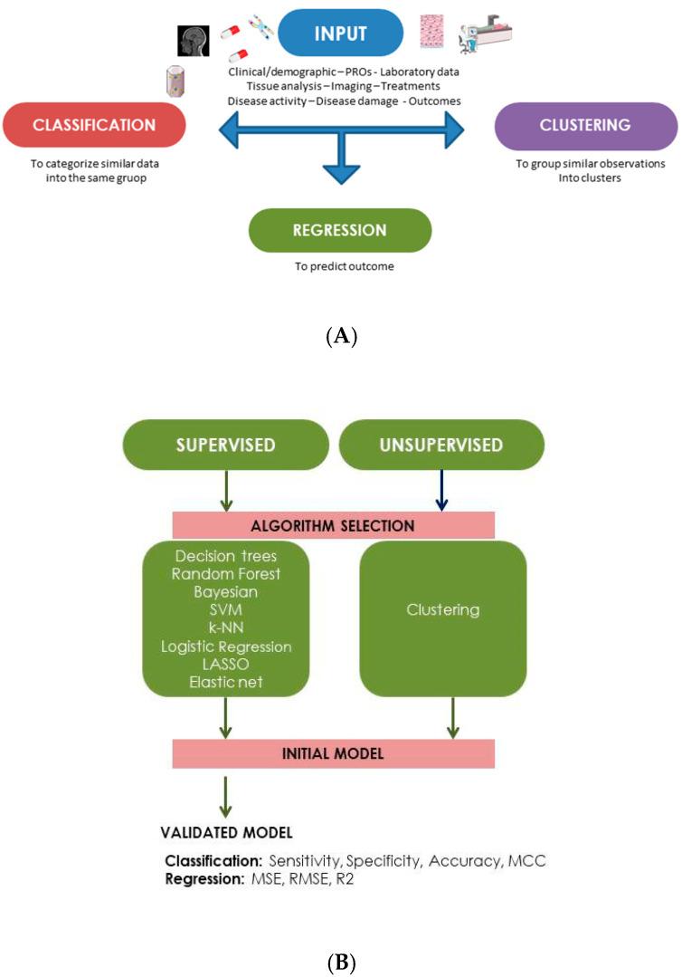 https://cdn.ncbi.nlm.nih.gov/pmc/blobs/65da/10003088/bf37601b49ba/ijms-24-04514-g002.jpg