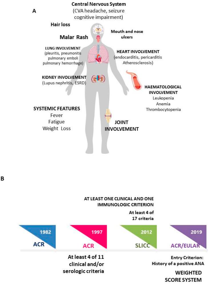 https://cdn.ncbi.nlm.nih.gov/pmc/blobs/65da/10003088/ff95609f3914/ijms-24-04514-g001.jpg