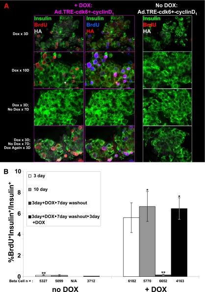 https://cdn.ncbi.nlm.nih.gov/pmc/blobs/65da/3266420/6c8405ba55ac/418fig4.jpg
