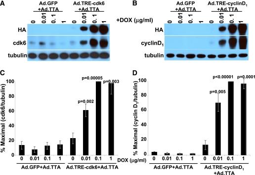 https://cdn.ncbi.nlm.nih.gov/pmc/blobs/65da/3266420/b42f26451219/418fig1.jpg