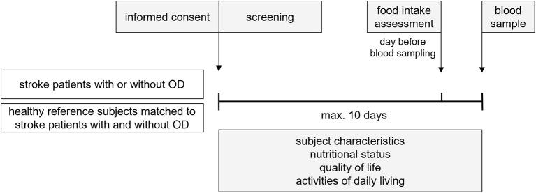 https://cdn.ncbi.nlm.nih.gov/pmc/blobs/65dd/9872791/bee5cba7c64d/fneur-13-1028991-g0001.jpg