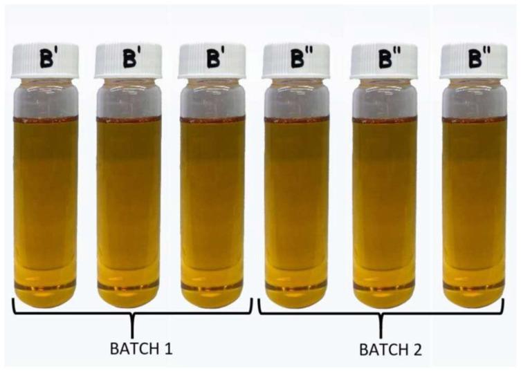 https://cdn.ncbi.nlm.nih.gov/pmc/blobs/65de/11640693/305fd0f8ce4d/foods-13-03867-g001.jpg