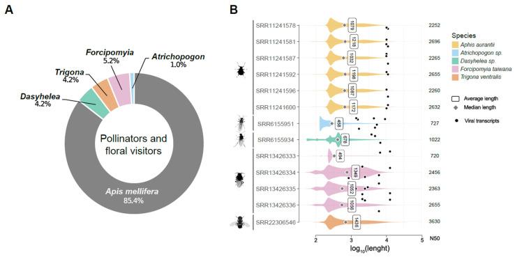 https://cdn.ncbi.nlm.nih.gov/pmc/blobs/65e1/10535300/e6abf46c8308/viruses-15-01850-g001.jpg