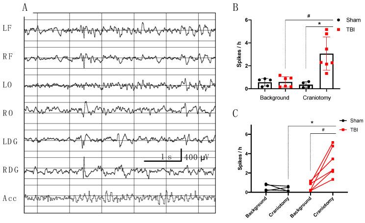 https://cdn.ncbi.nlm.nih.gov/pmc/blobs/65e1/7565553/bedba923d573/brainsci-10-00570-g005.jpg