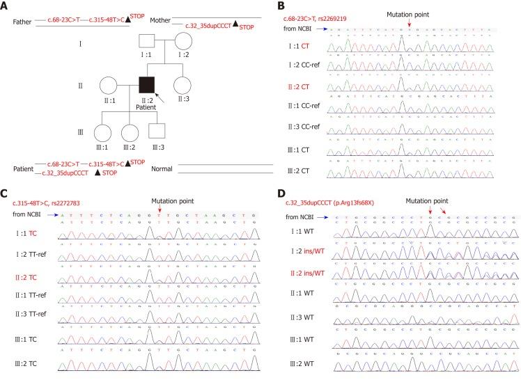 https://cdn.ncbi.nlm.nih.gov/pmc/blobs/65e2/6385011/8cb1651ea751/WJG-25-880-g003.jpg