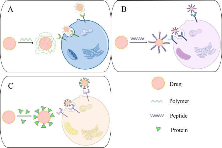 https://cdn.ncbi.nlm.nih.gov/pmc/blobs/65e4/10769998/cda9c11b9670/11671_2023_3950_Fig6_HTML.jpg