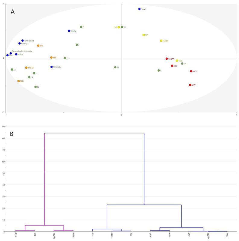 https://cdn.ncbi.nlm.nih.gov/pmc/blobs/65e4/11677002/9a9b8d07cd3d/molecules-29-05913-g004.jpg