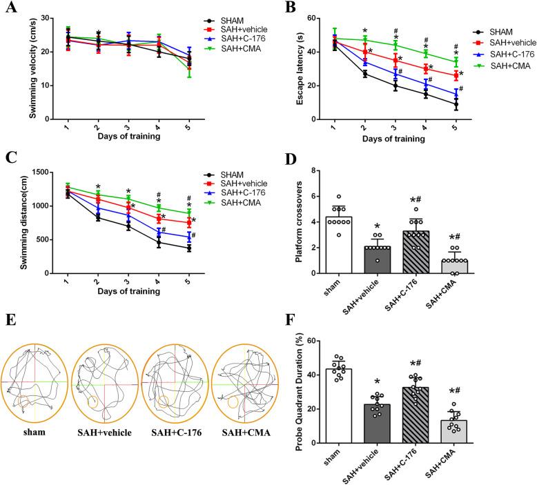 https://cdn.ncbi.nlm.nih.gov/pmc/blobs/65e5/7249698/371803cd1073/12974_2020_1830_Fig5_HTML.jpg