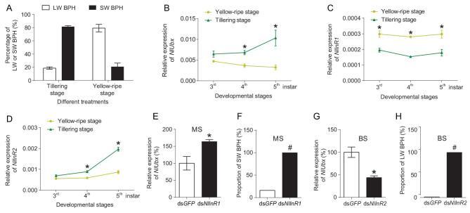 https://cdn.ncbi.nlm.nih.gov/pmc/blobs/65e5/8288846/7d4293ea1726/nwaa061fig5.jpg