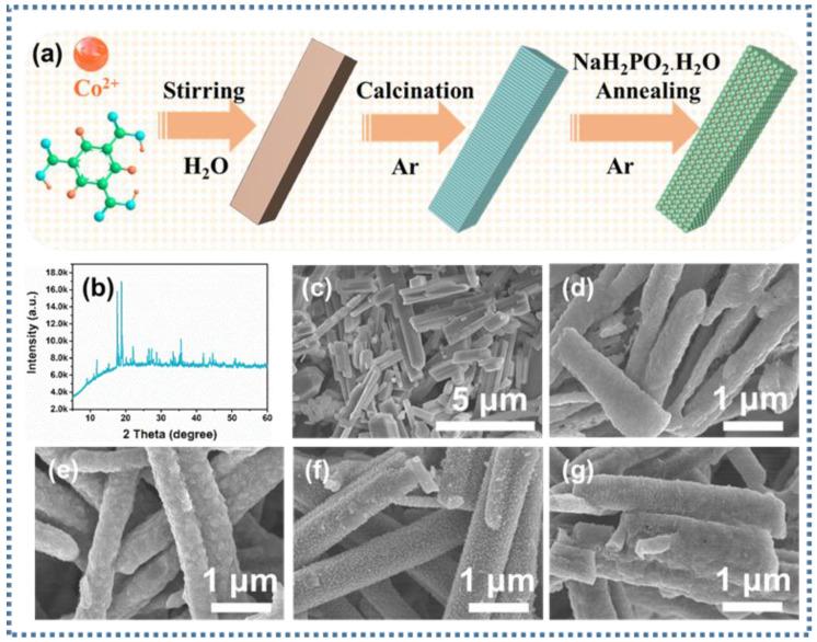https://cdn.ncbi.nlm.nih.gov/pmc/blobs/65e6/10708327/5292131ebe15/nanomaterials-13-03025-g001.jpg