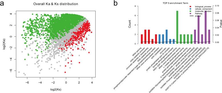 https://cdn.ncbi.nlm.nih.gov/pmc/blobs/65e7/7329388/4805b530a1b2/12864_2020_6791_Fig4_HTML.jpg