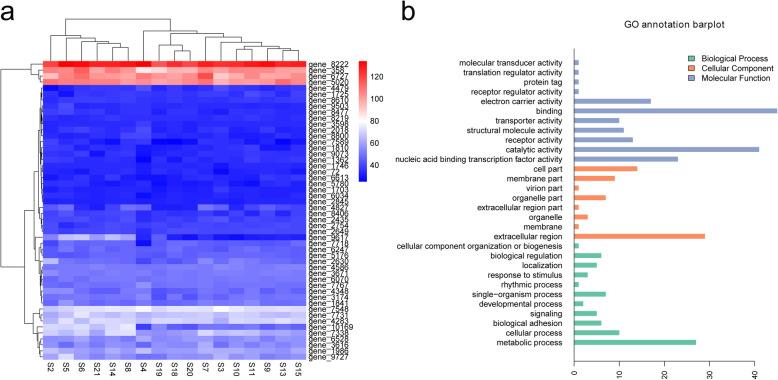 https://cdn.ncbi.nlm.nih.gov/pmc/blobs/65e7/7329388/66075aa57eb7/12864_2020_6791_Fig2_HTML.jpg