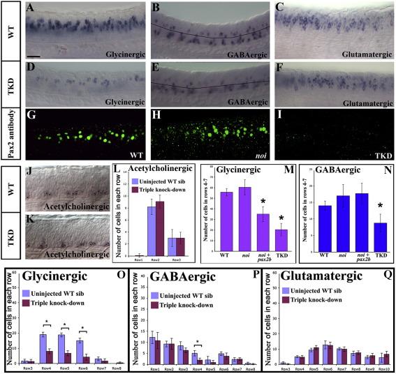https://cdn.ncbi.nlm.nih.gov/pmc/blobs/65e8/2849013/2d98b6bf6fb7/gr3.jpg