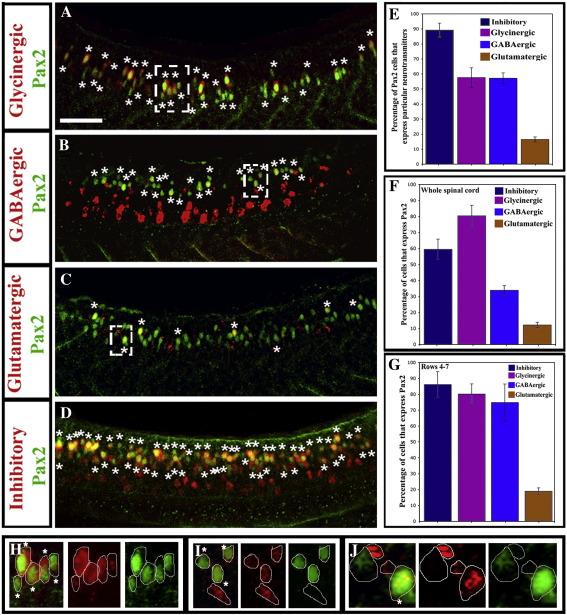 https://cdn.ncbi.nlm.nih.gov/pmc/blobs/65e8/2849013/d60a369f5207/gr2.jpg