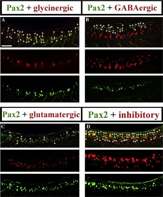 https://cdn.ncbi.nlm.nih.gov/pmc/blobs/65e8/2849013/efe006d9e3cf/gr6.jpg