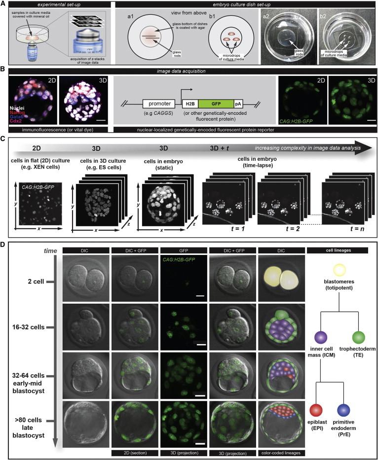 https://cdn.ncbi.nlm.nih.gov/pmc/blobs/65e9/3964288/a5913b6f3004/gr1.jpg