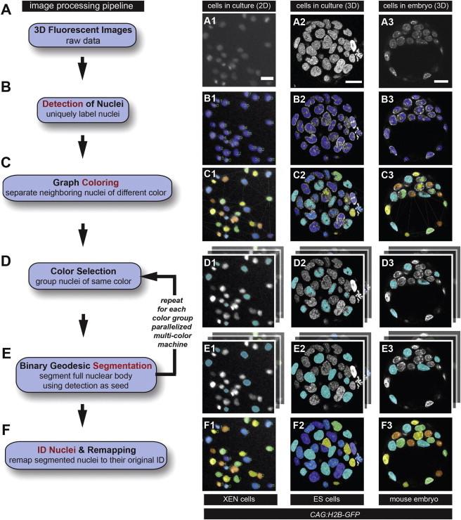 https://cdn.ncbi.nlm.nih.gov/pmc/blobs/65e9/3964288/e7034e35d236/gr3.jpg