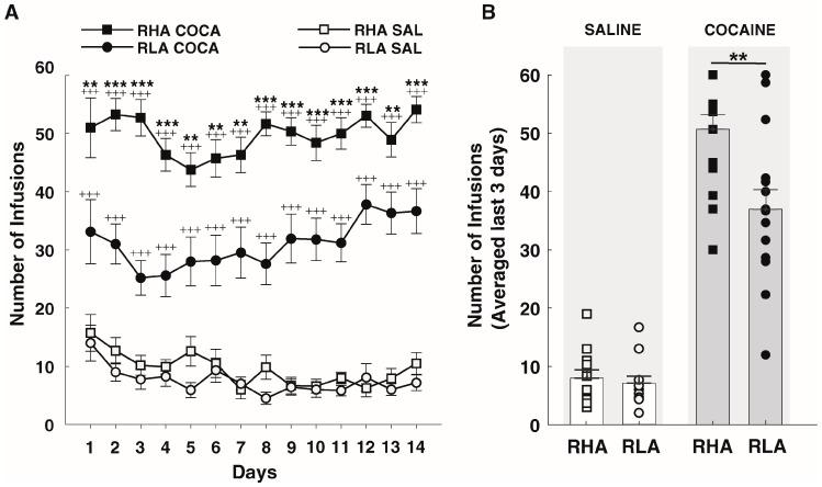 https://cdn.ncbi.nlm.nih.gov/pmc/blobs/65ea/10487888/3ff48bb0fa4b/ijms-24-13238-g003.jpg