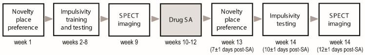 https://cdn.ncbi.nlm.nih.gov/pmc/blobs/65ea/10487888/513ced6bf24c/ijms-24-13238-g007.jpg