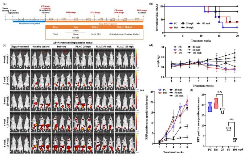 https://cdn.ncbi.nlm.nih.gov/pmc/blobs/65ea/7139301/04be7310f4a2/cancers-12-00560-g001.jpg